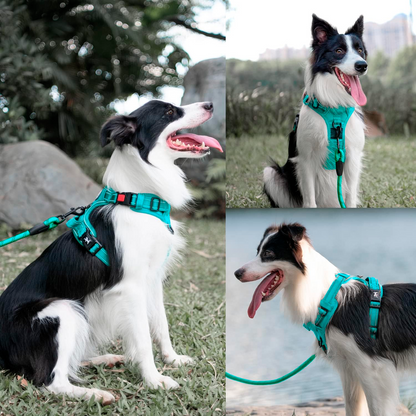 PETBABAS Reflective Adjustable Pet Leash for Dogs and Cats