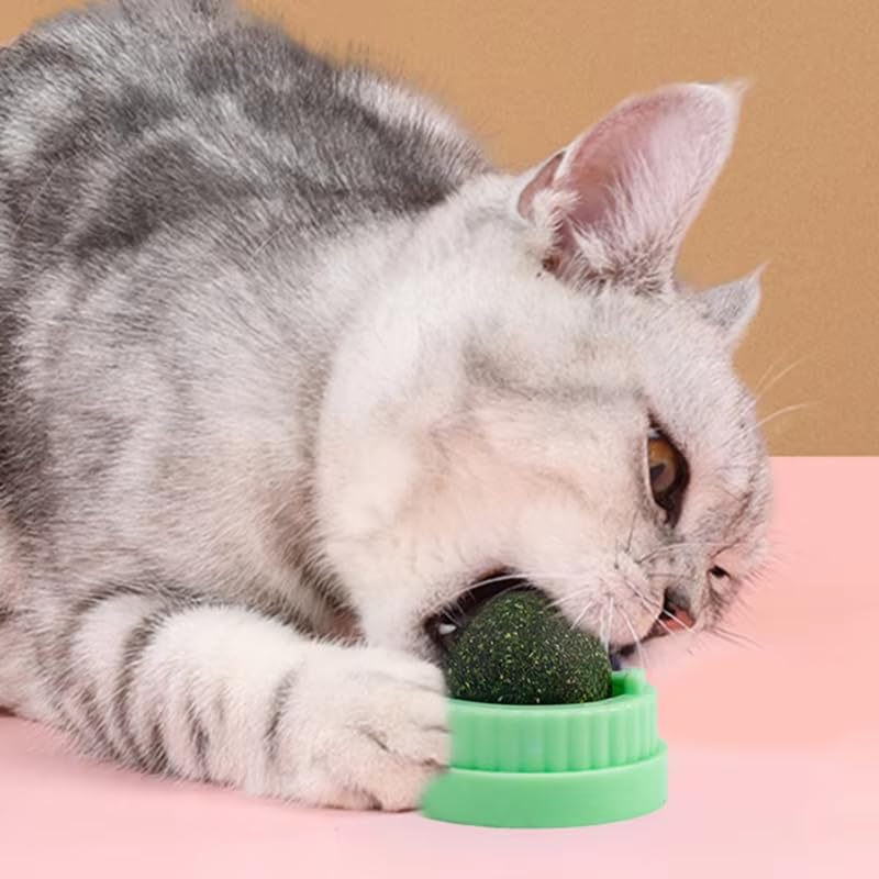 Petbabas 3 Pc Catnip Toy