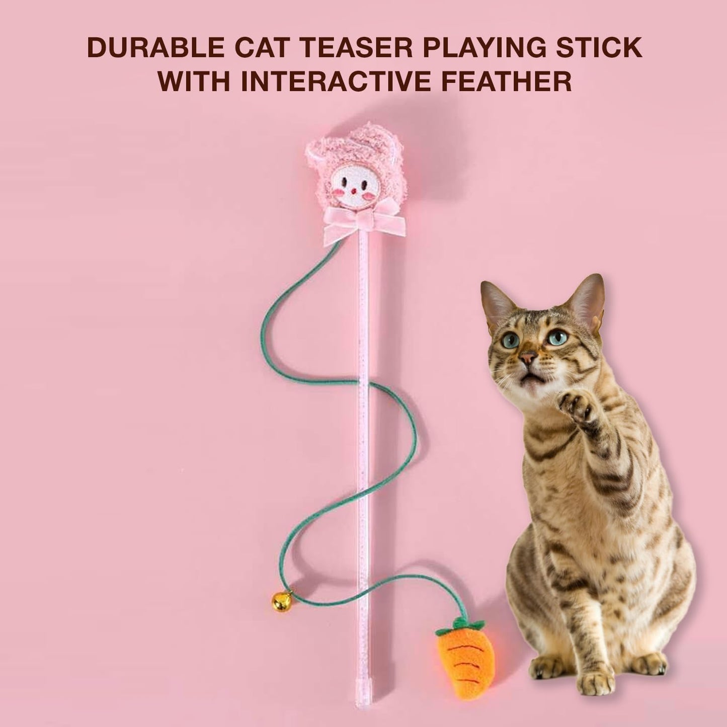 Petbabas Cat and Dog Playing Stick