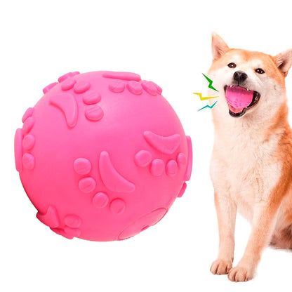 Petbabas Play Ball for Dogs