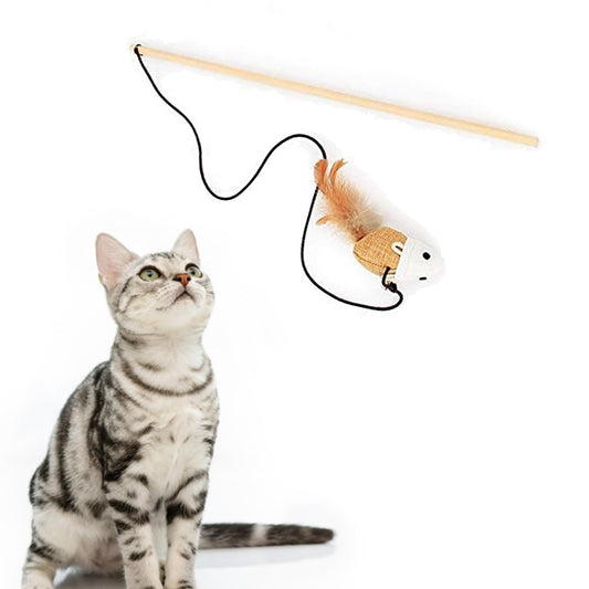 Petbabas Cat and Dog Playing Stick