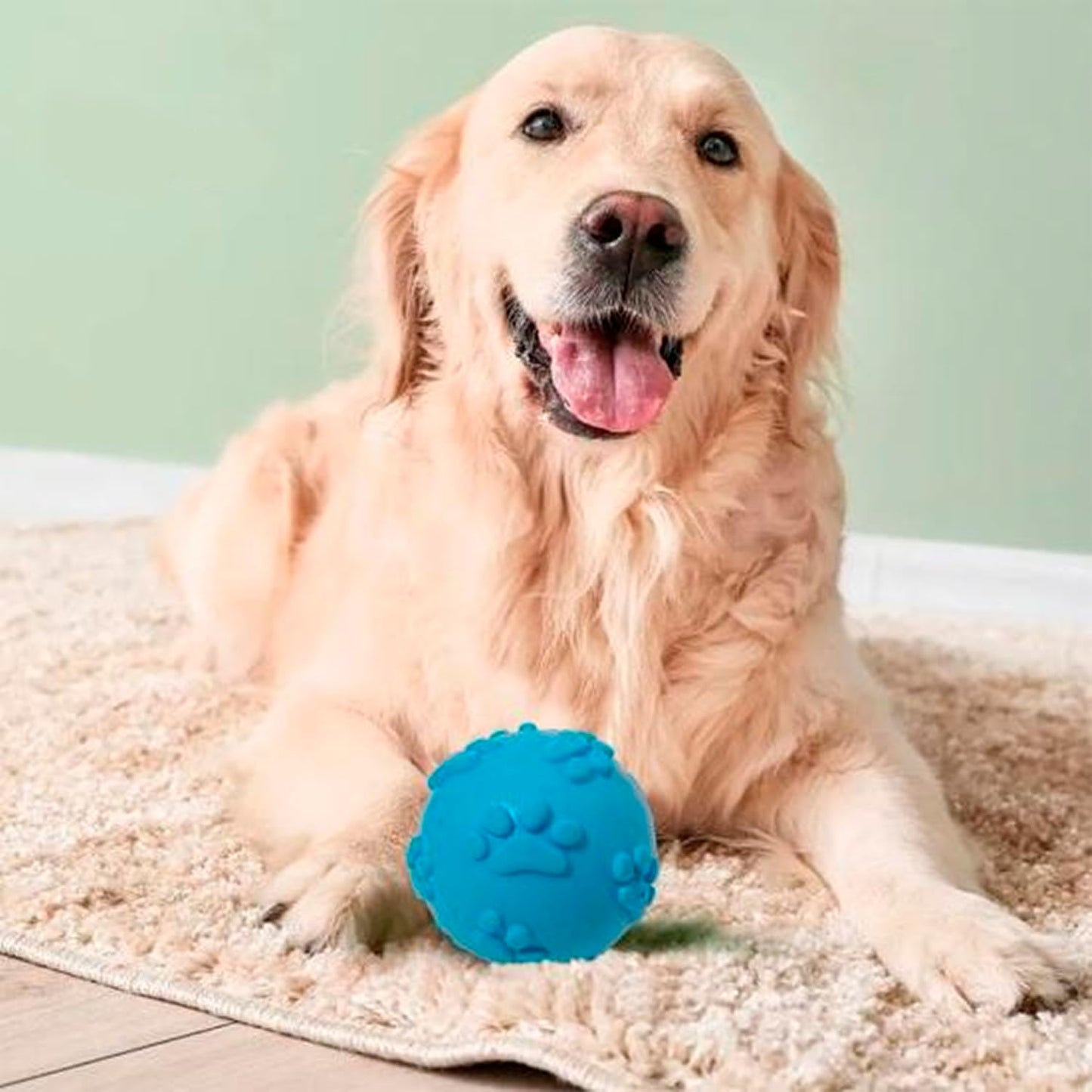Petbabas Play Ball for Dogs