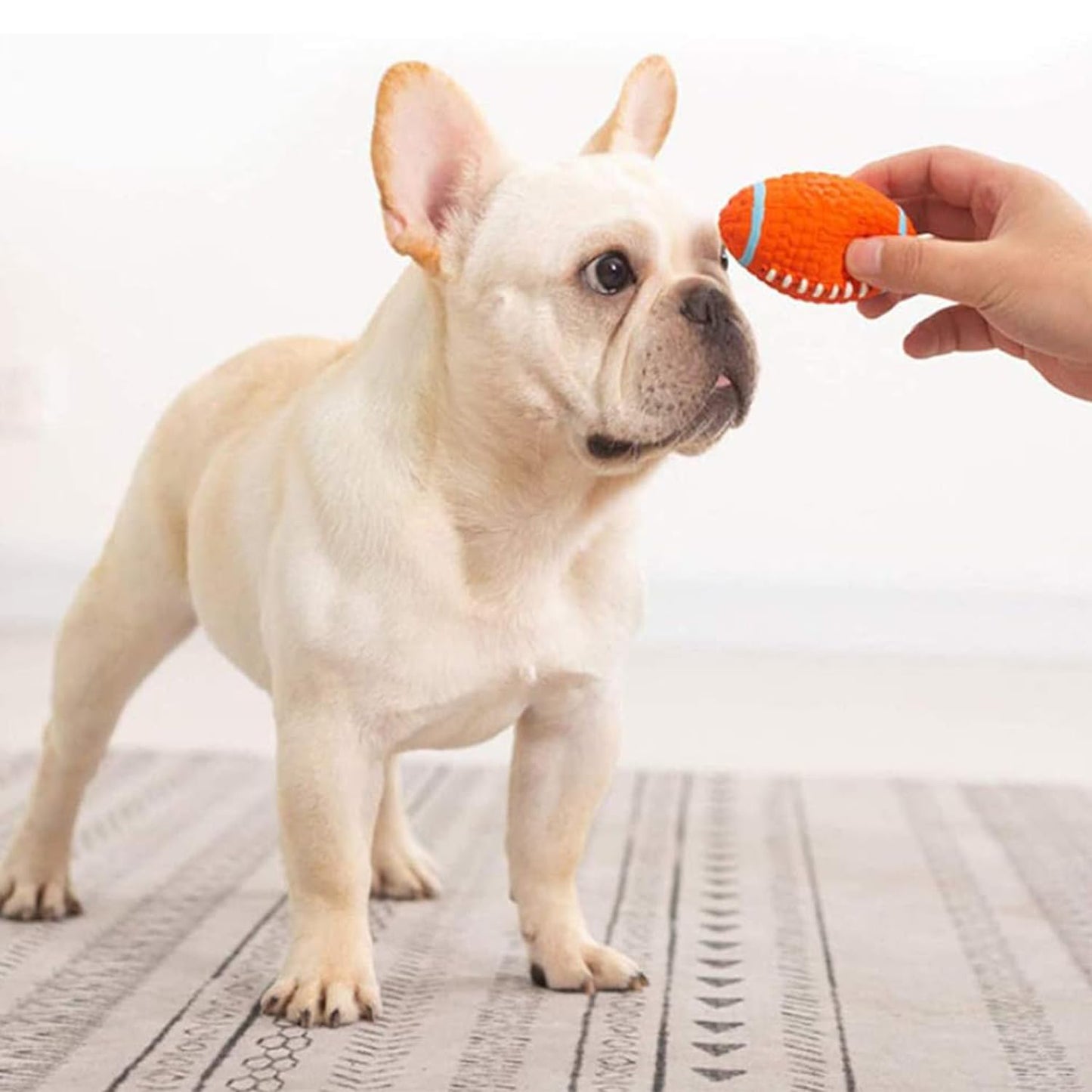 Petbabas Play Ball for Dogs and Pets