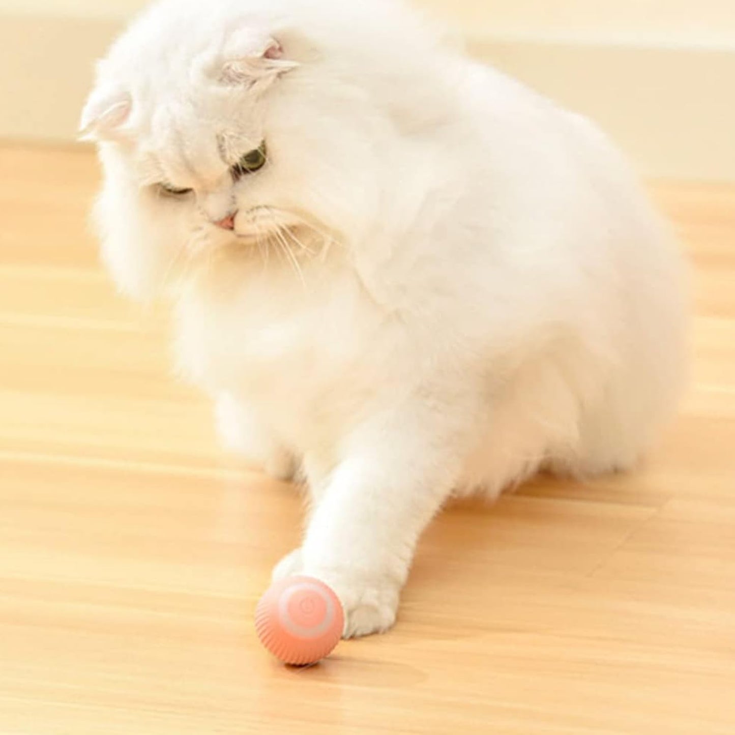 Petbabas Smart 360° Self-Rolling Cat Chasing Rotatable Toy Ball with LED Lights
