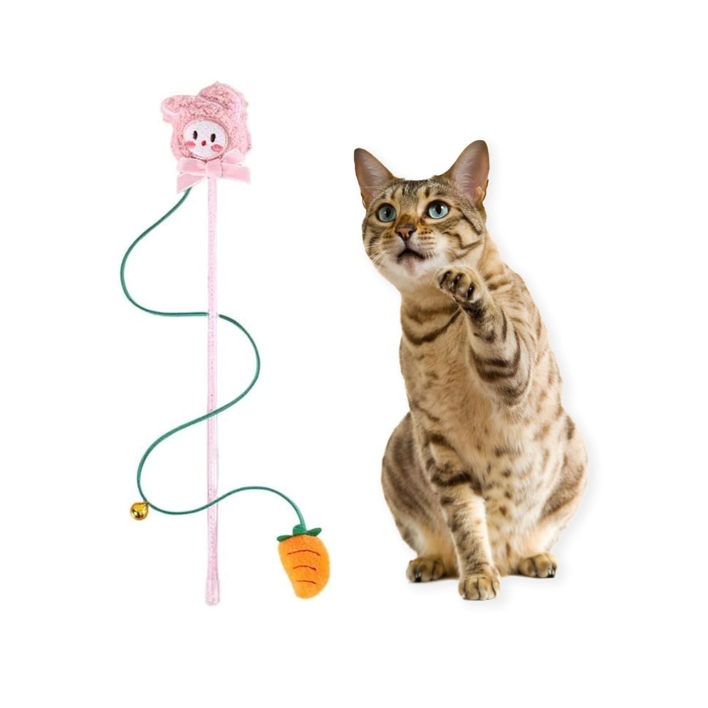 Petbabas Cat and Dog Playing Stick