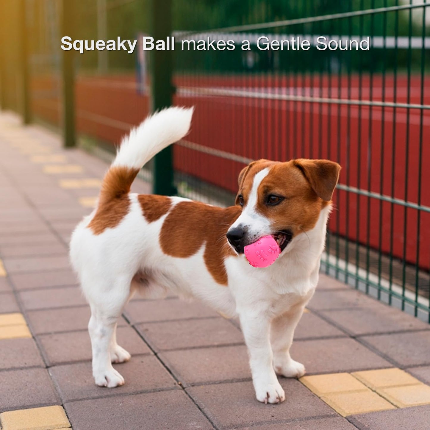 Petbabas Play Ball for Dogs