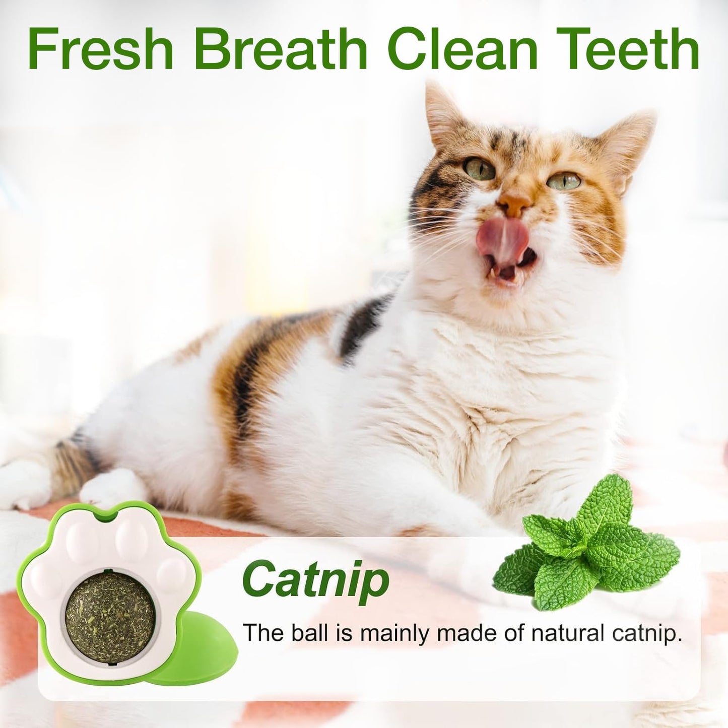 Petbabas Paw-Shaped Cat Toy with Catnip