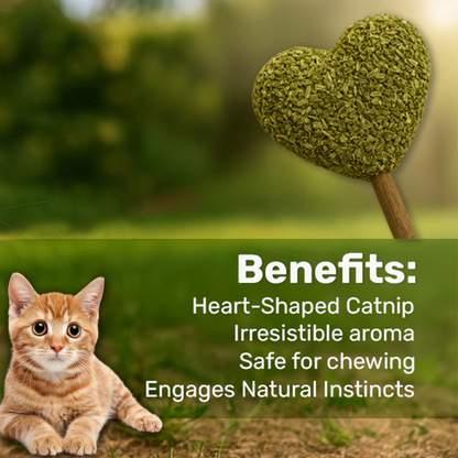 Petbabas Heart-Shaped Cat Toy with Catnip