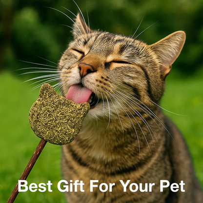 Petbabas Teddy-Shaped Cat Toy with Catnip