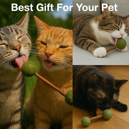 Petbabas Mint Stick Cat Toy with Catnip