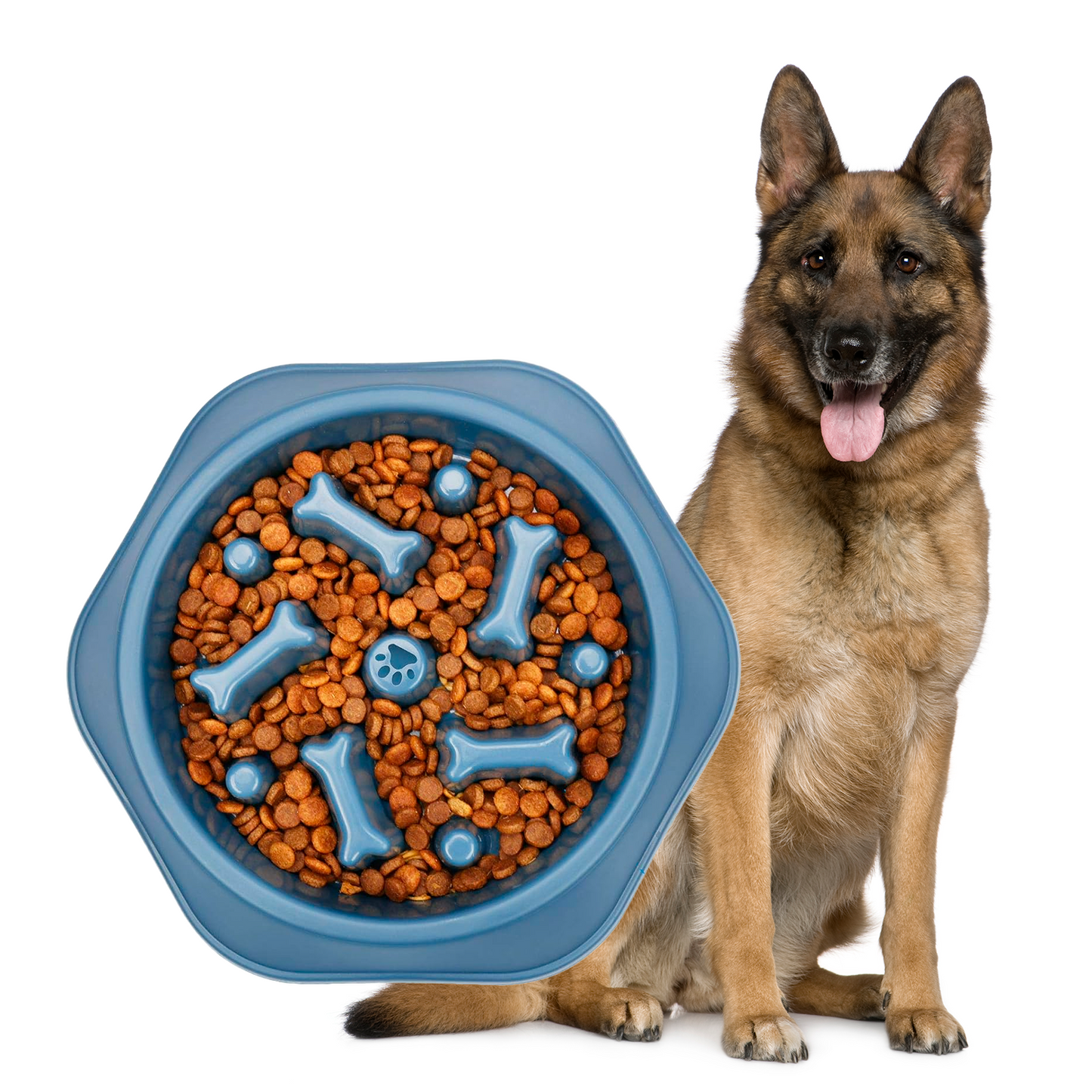 PETBABAS Durable Slow Feeder Bowl for Dogs