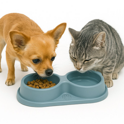 Petbabas Dog Ceramic teddy Bear Shaped Cute 2 in 1 Feeding Bowl