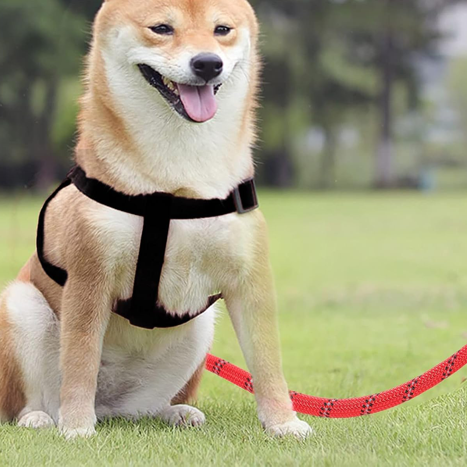 PETBABAS Reflective Adjustable Pet Leash for Dogs