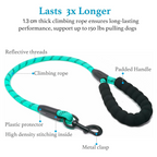 PETBABAS Reflective Adjustable Pet Leash for Dogs and Cats