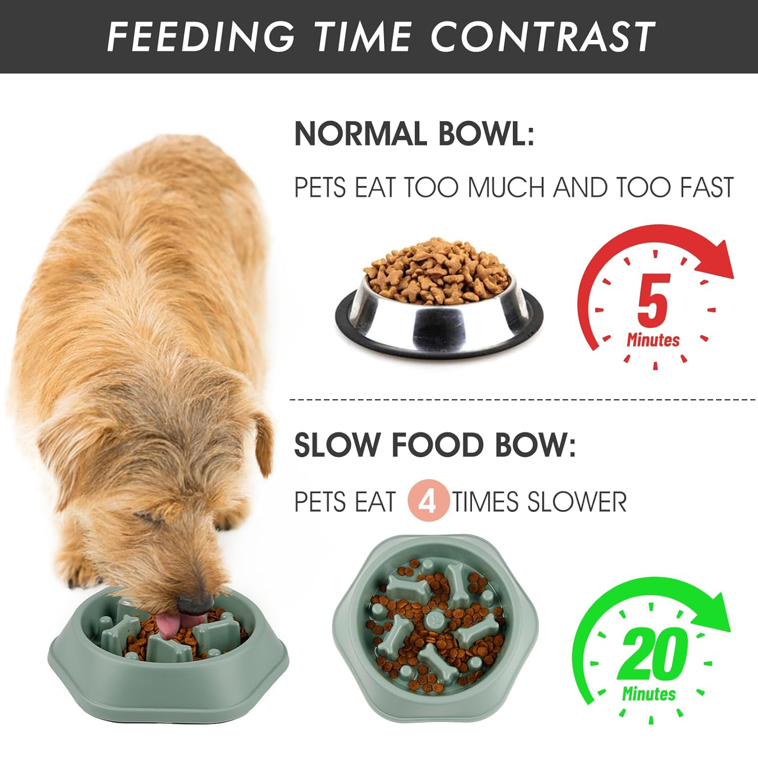 PETBABAS Durable Slow Feeder Bowl for Dogs