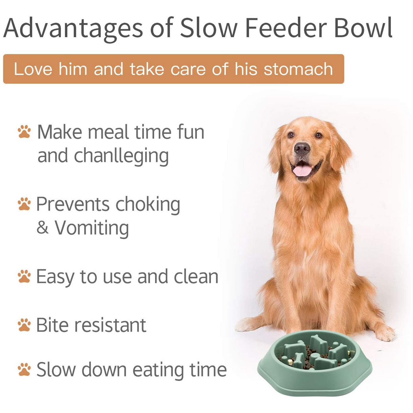 PETBABAS Durable Slow Feeder Bowl for Dogs