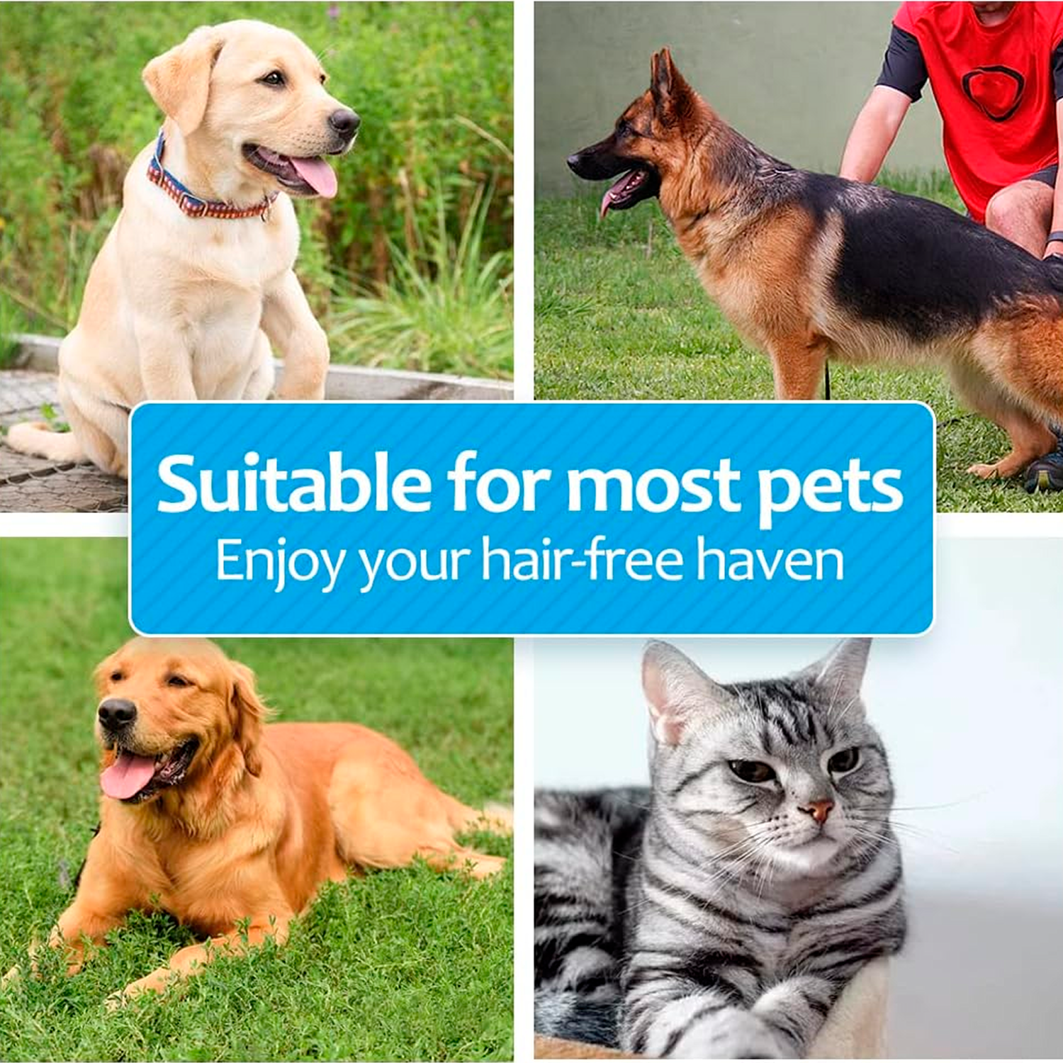 PETBABAS Dog Brush Dogs Comb, 2 in 1 Deshedding Tool