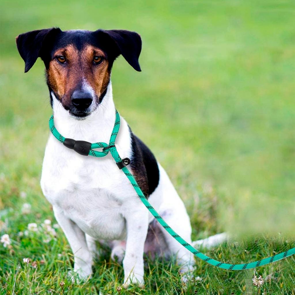 PETBABAS Reflective Adjustable Pet Leash for Dogs and Cats