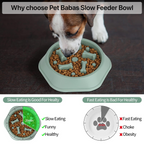 PETBABAS Durable Slow Feeder Bowl for Dogs