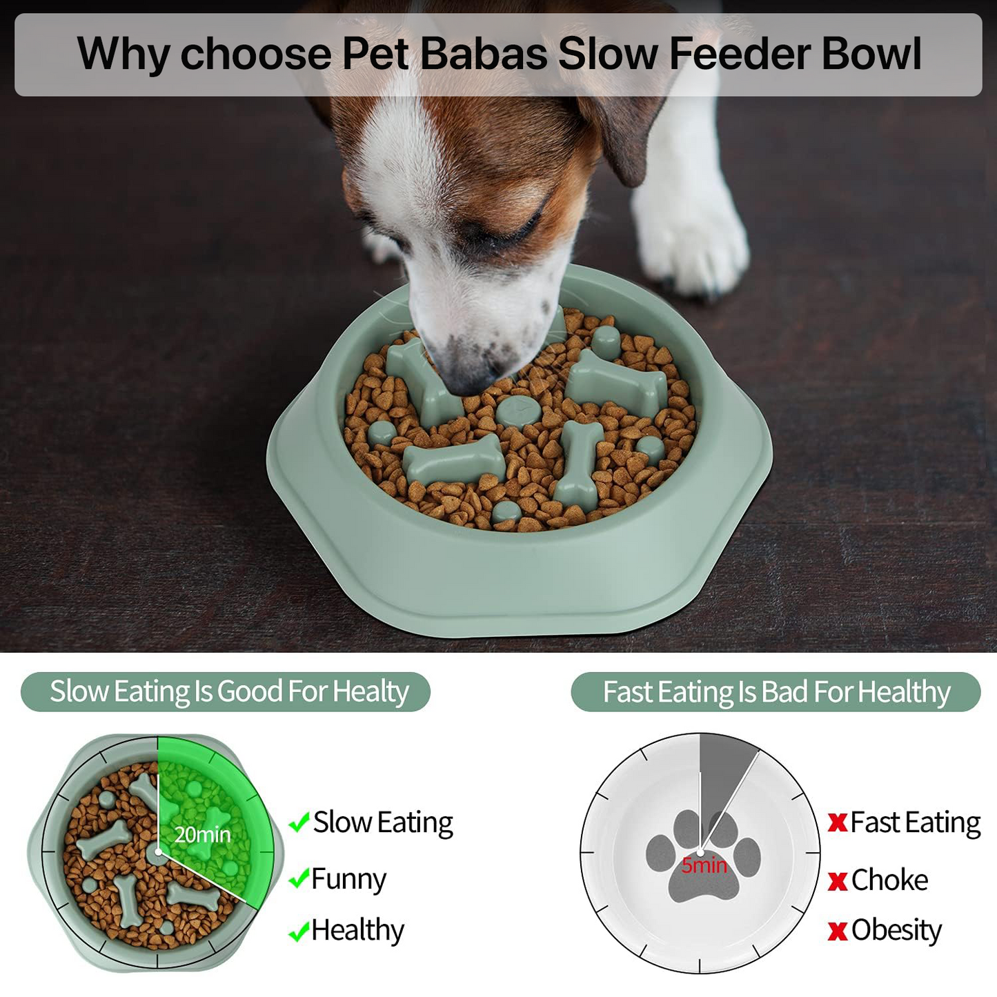 PETBABAS Durable Slow Feeder Bowl for Dogs