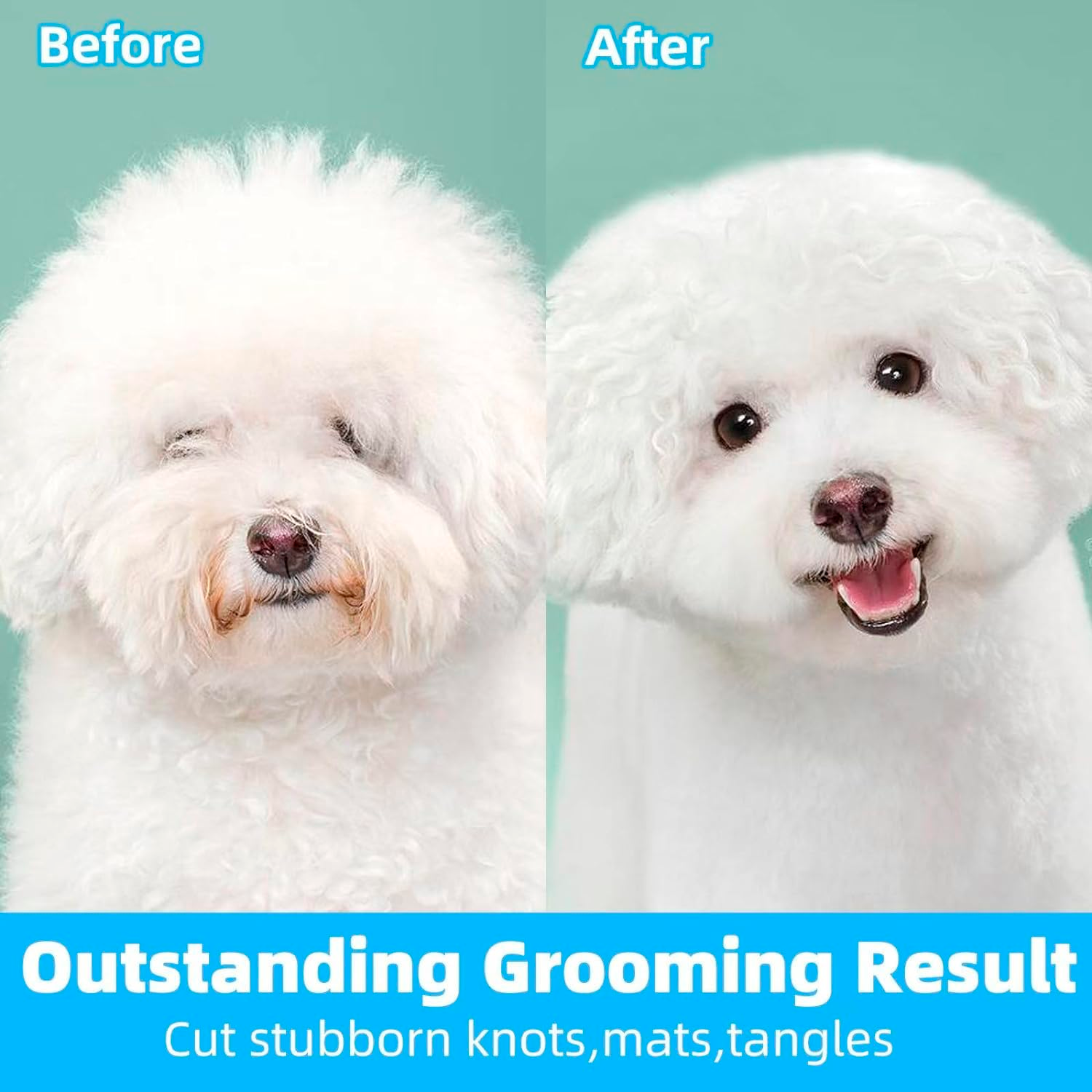 PETBABAS Dog and Cat Grooming Kit