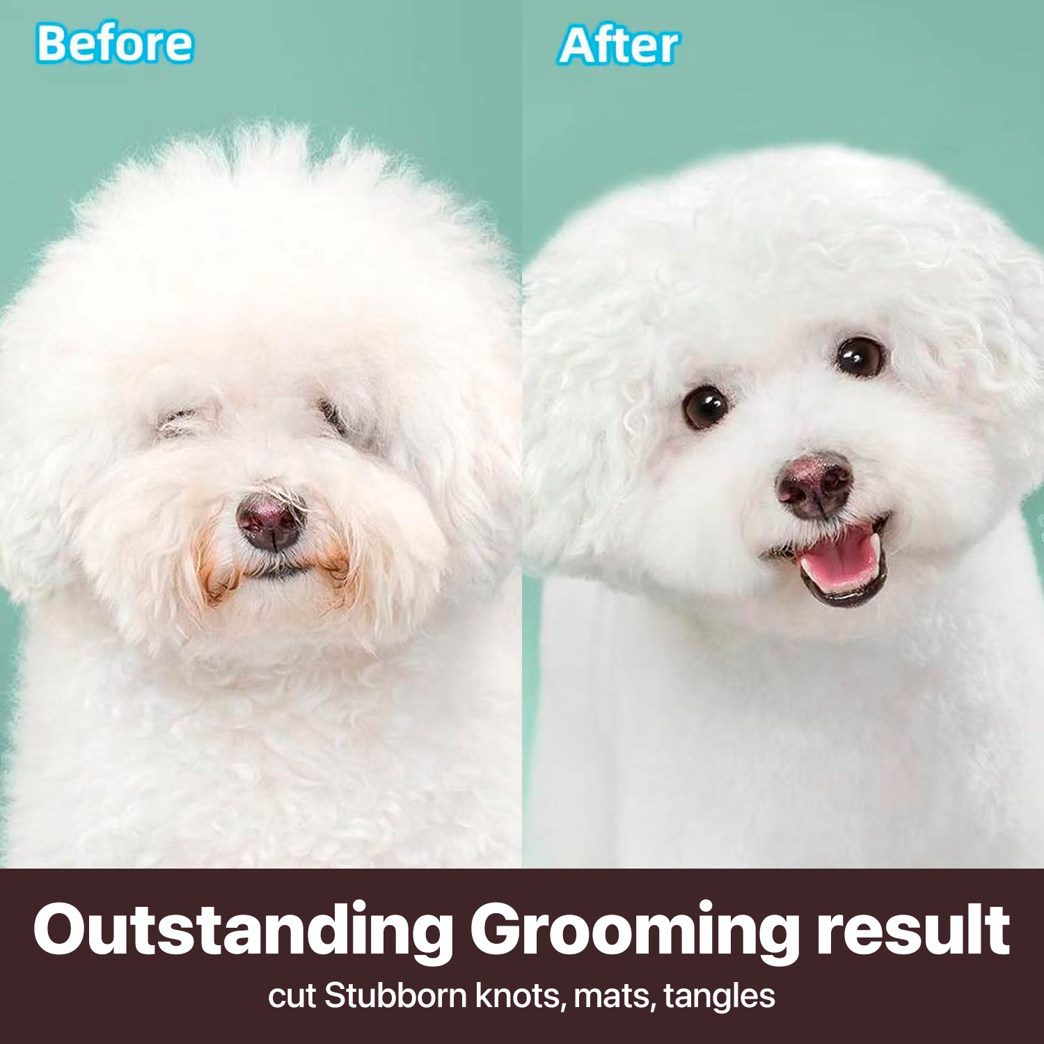 PETBABAS Dog and Cat Grooming Kit