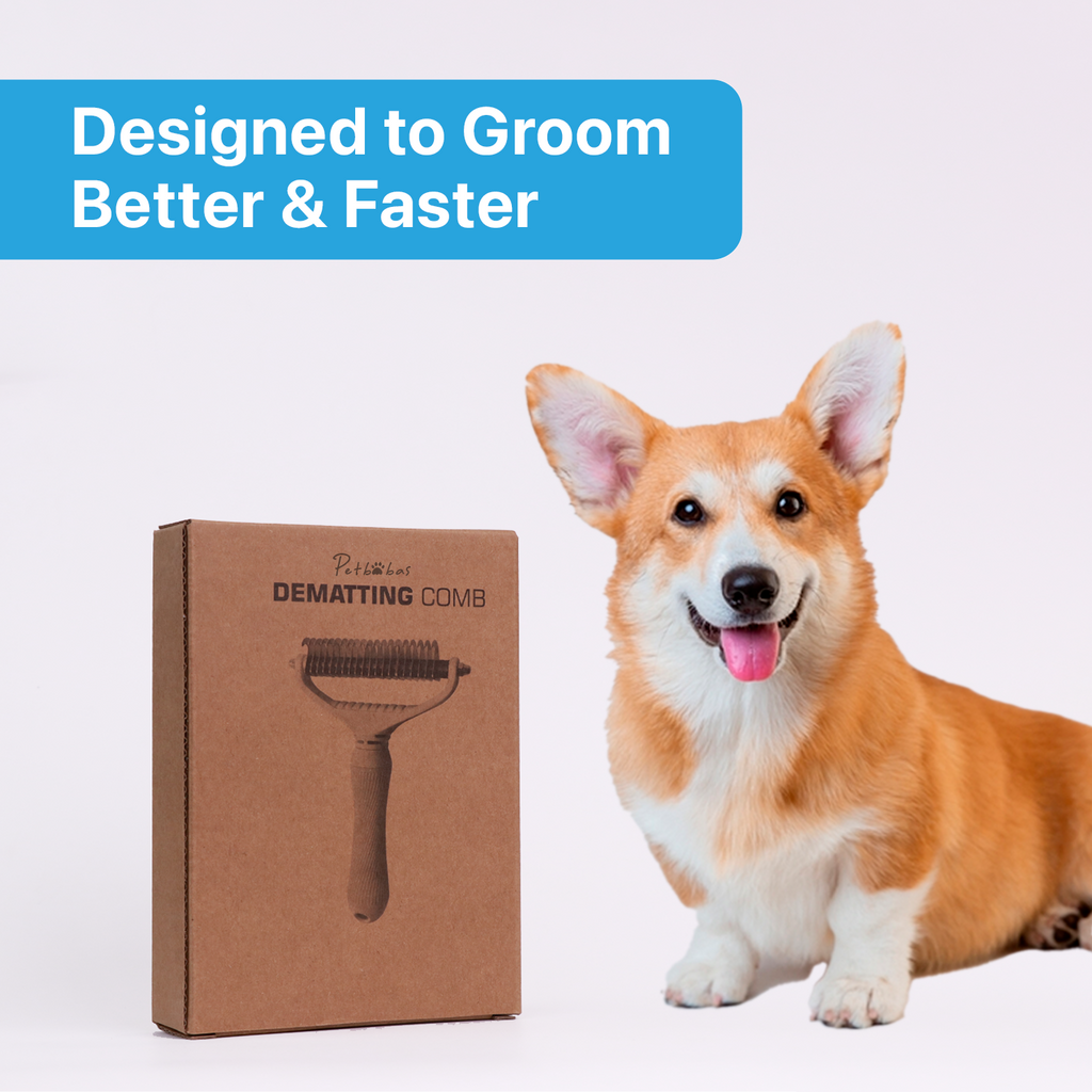 PETBABAS Dog and Cat Grooming Kit