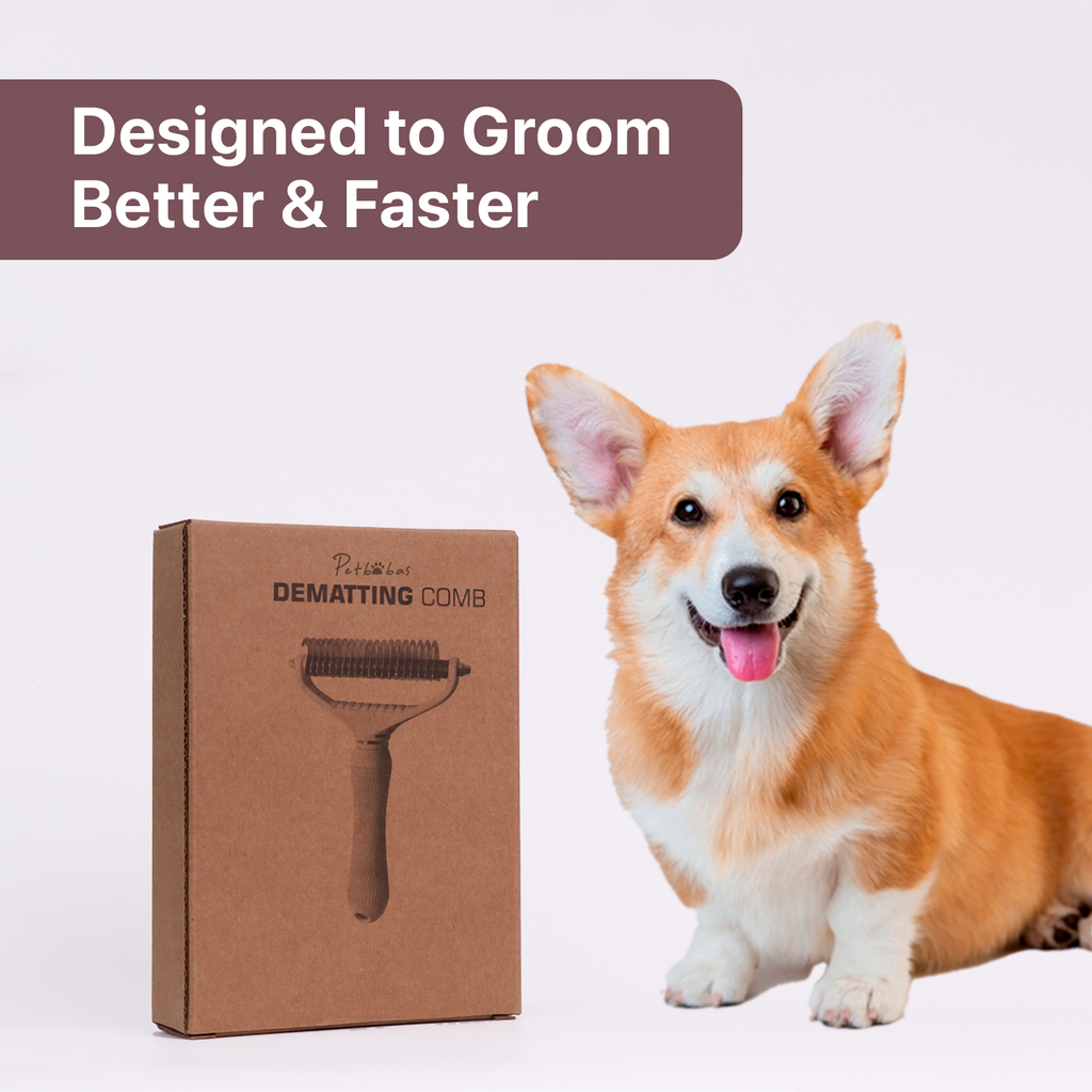 PETBABAS Dog and Cat Grooming Kit