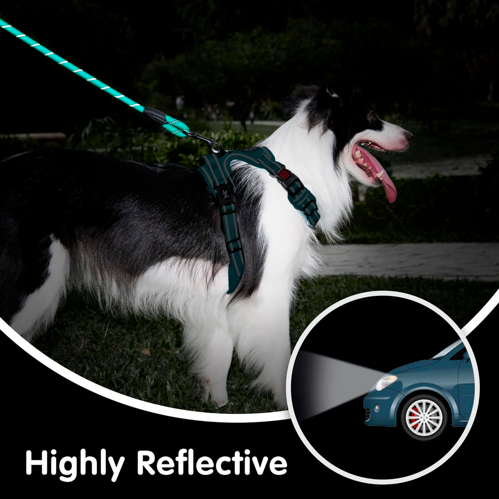 PETBABAS Reflective Adjustable Pet Leash for Dogs and Cats