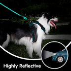 PETBABAS Reflective Adjustable Pet Leash for Dogs and Cats