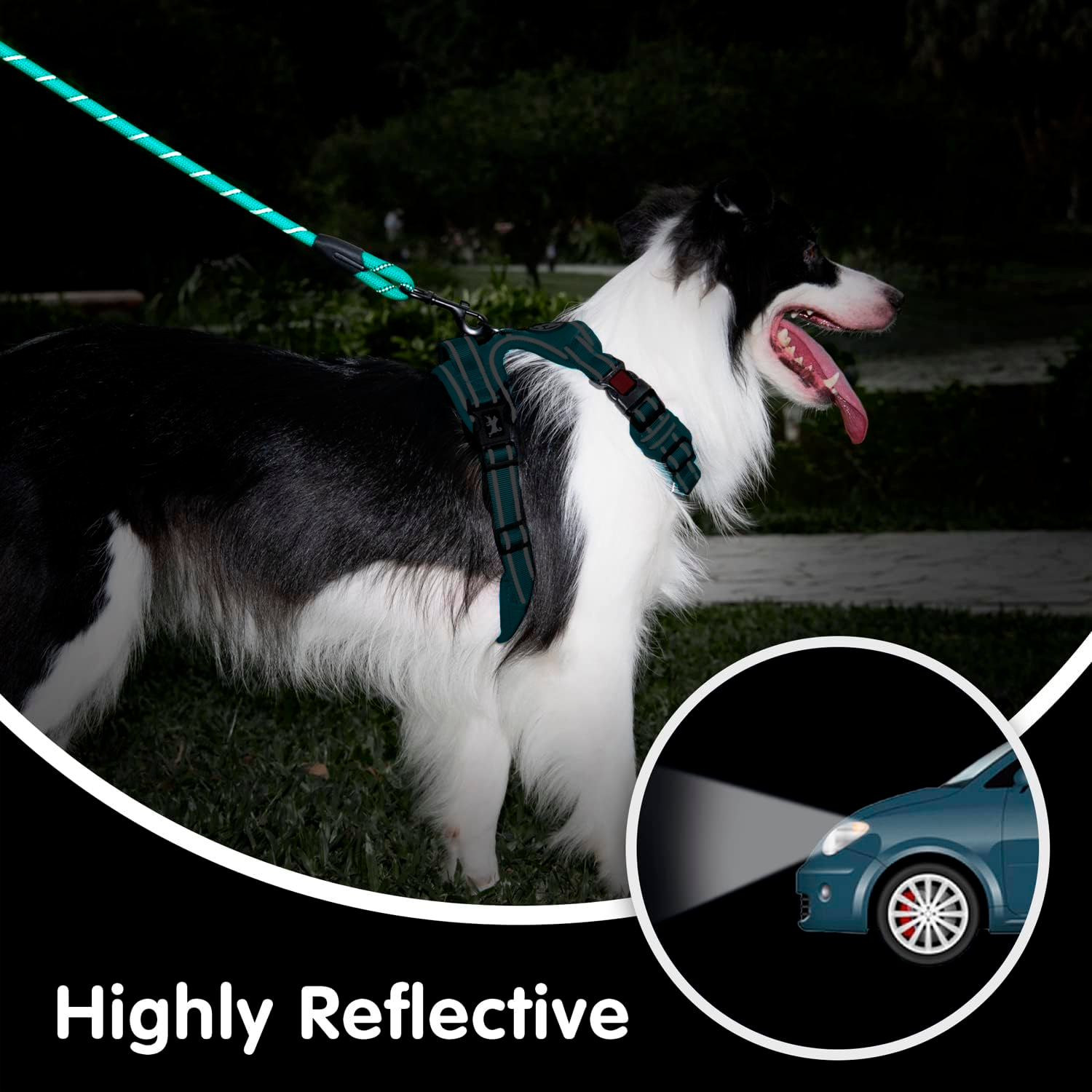 PETBABAS Reflective Adjustable Pet Leash for Dogs and Cats