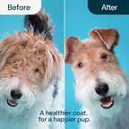 PETBABAS Dog Brush Dogs Comb, 2 in 1 Deshedding Tool