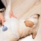 PETBABAS Dog Brush Dogs Comb, 2 in 1 Deshedding Tool