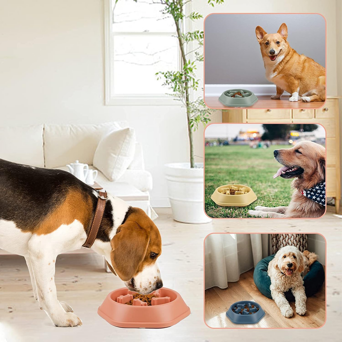PETBABAS Durable Slow Feeder Bowl for Dogs