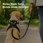 Petbabas Black cartoon harness