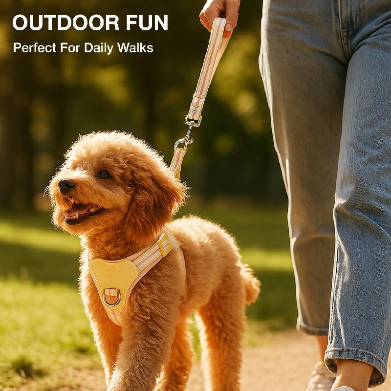 Petbabas Pastel Peach Harness