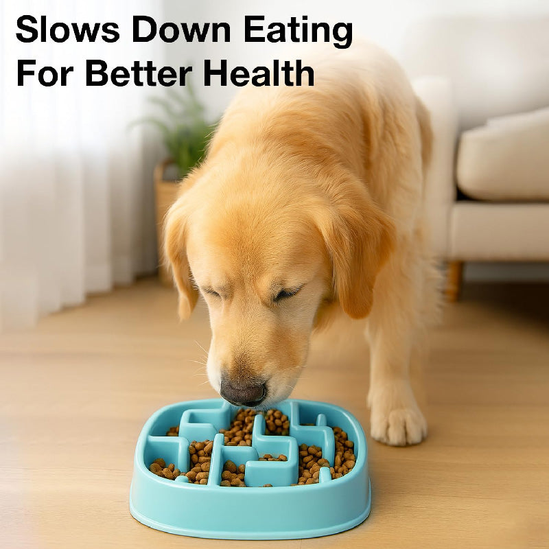 Petbabas Square Slow Feeder Bowl