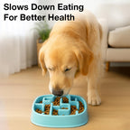 Petbabas Square Slow Feeder Bowl