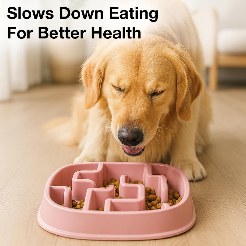 Petbabas Square Slow Feeder Bowl