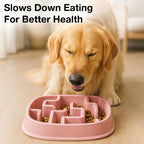 Petbabas Square Slow Feeder Bowl