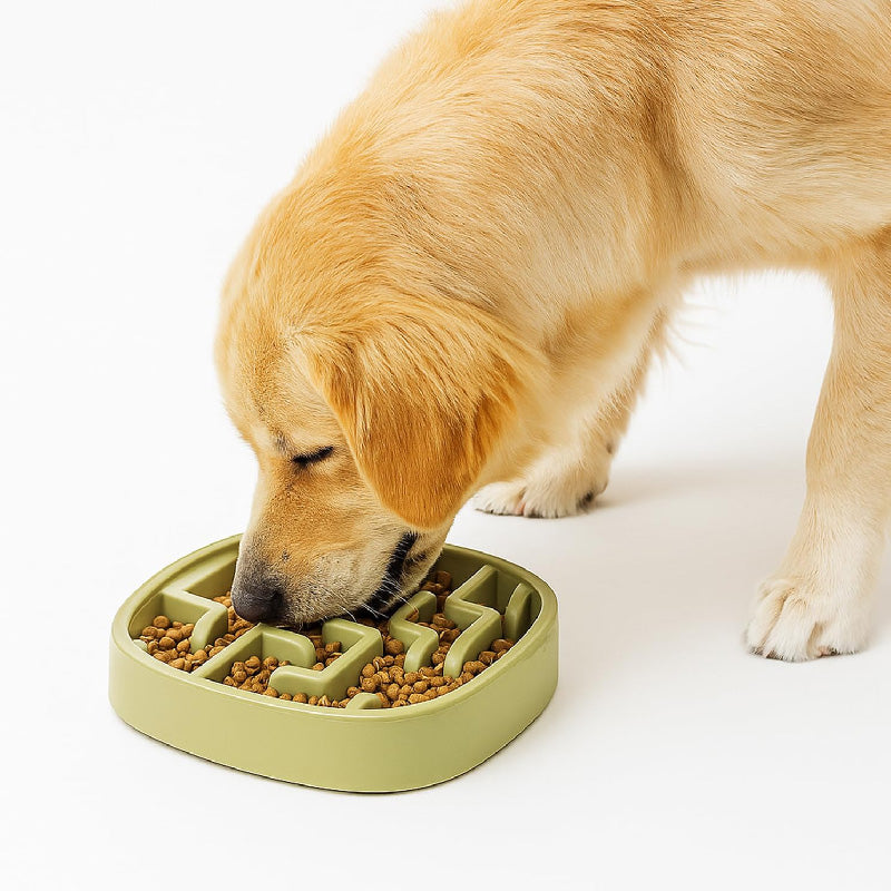 Petbabas Square Slow Feeder Bowl