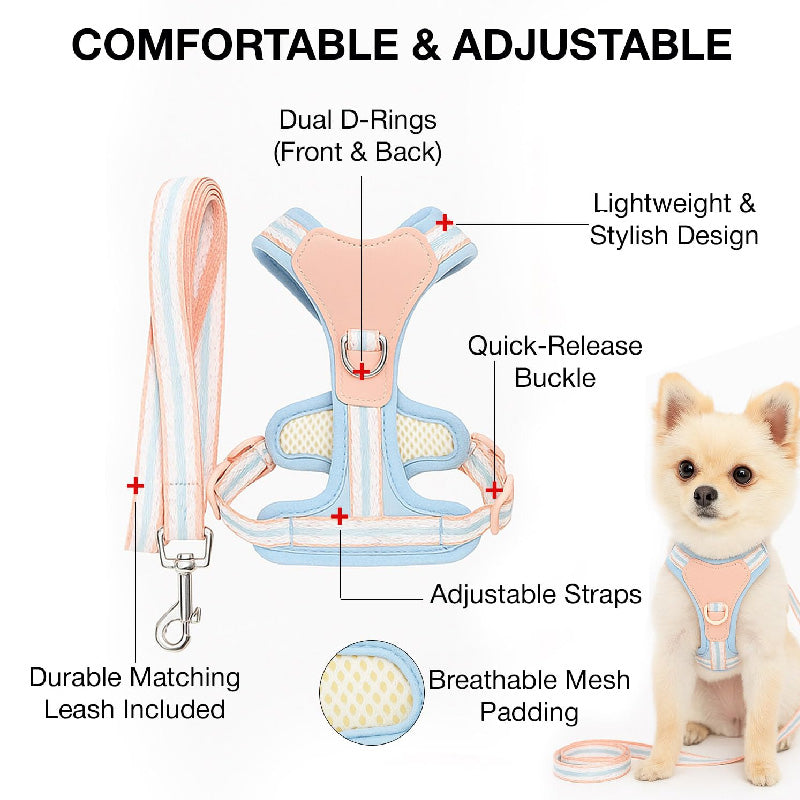 Petbabas Black cartoon harness