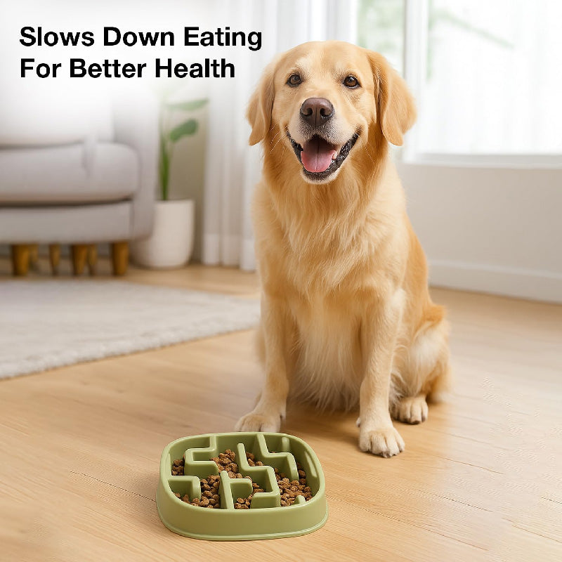 Petbabas Square Slow Feeder Bowl