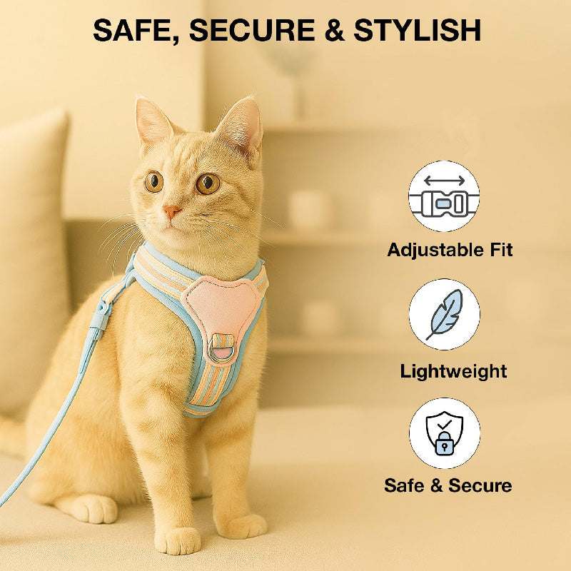 Petbabas Black cartoon harness