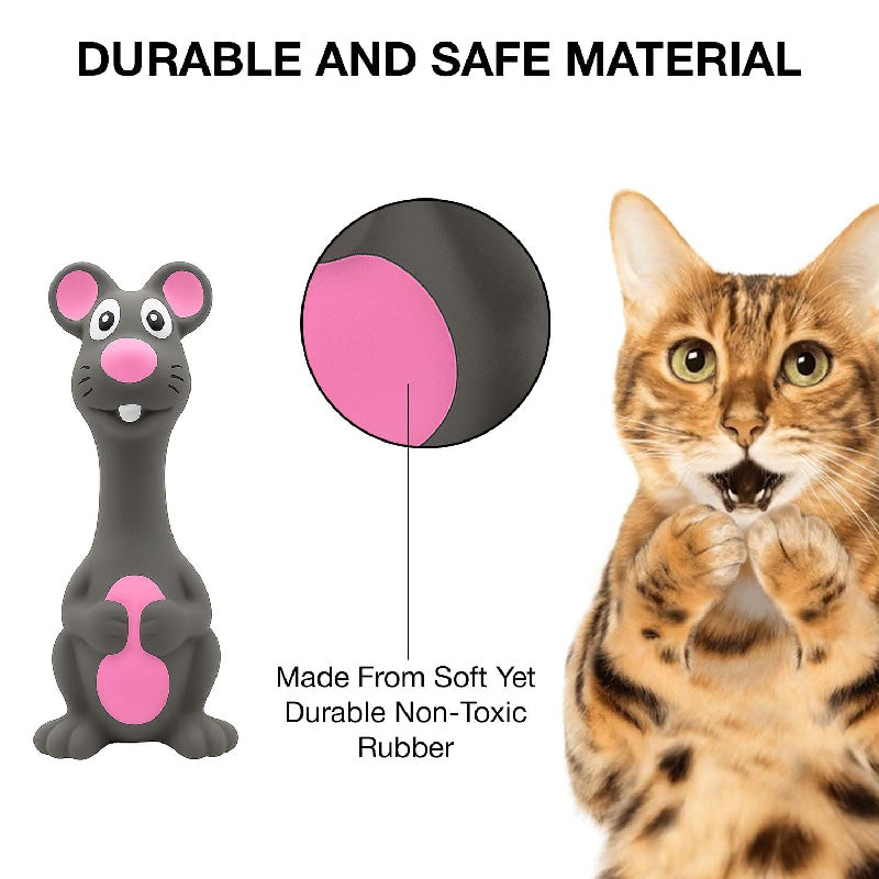 Squeaky Rubber Chicken Dog Toy