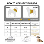 Petbabas Black cartoon harness