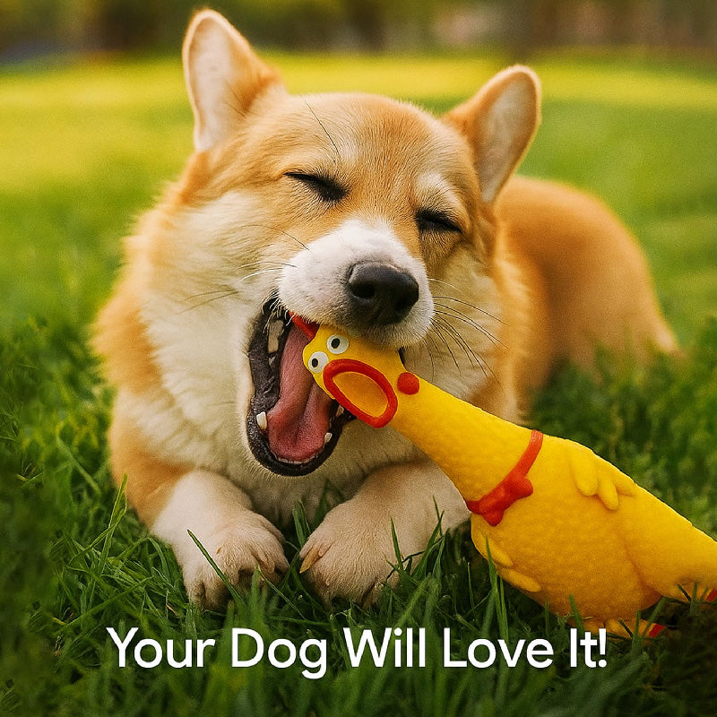Squeaky Rubber Chicken Dog Toy