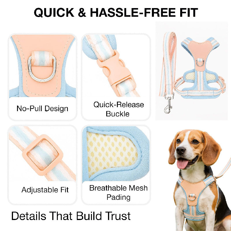 Petbabas Black cartoon harness