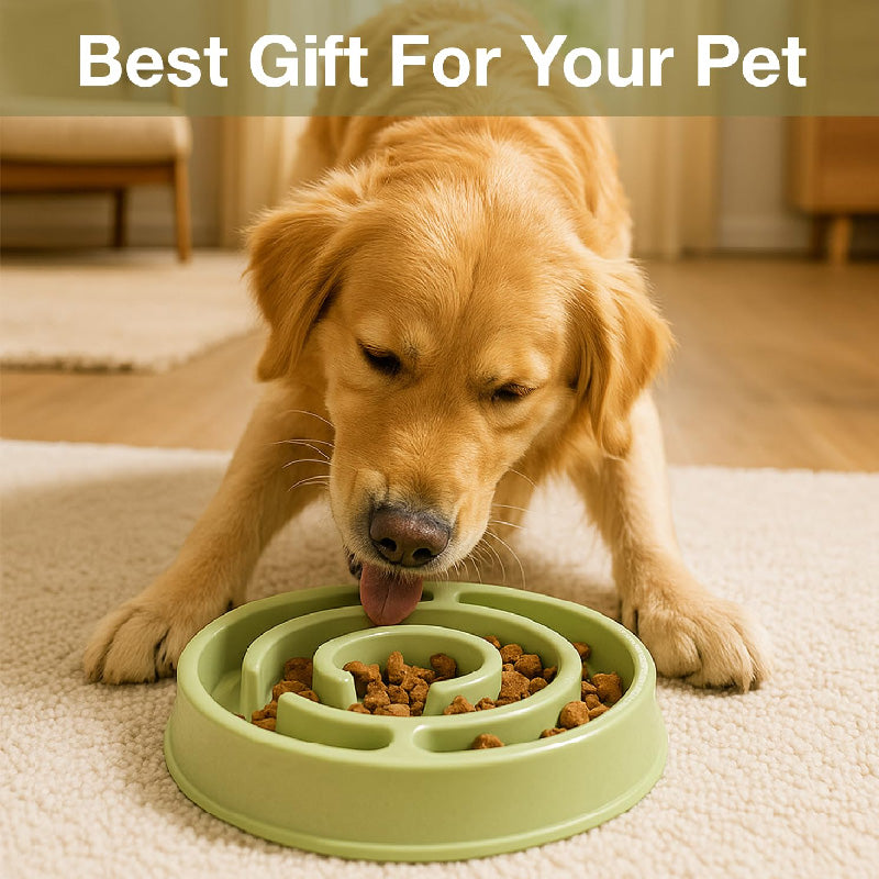 Petbabas Round Slow Feeder Bowl