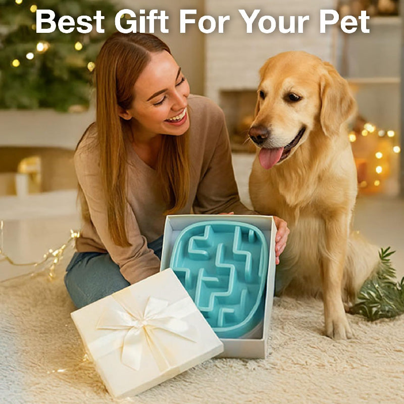 Petbabas Square Slow Feeder Bowl